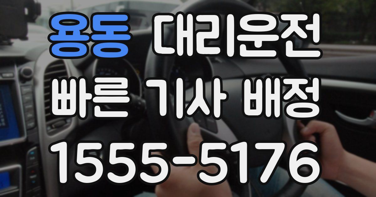 일일대리기사
