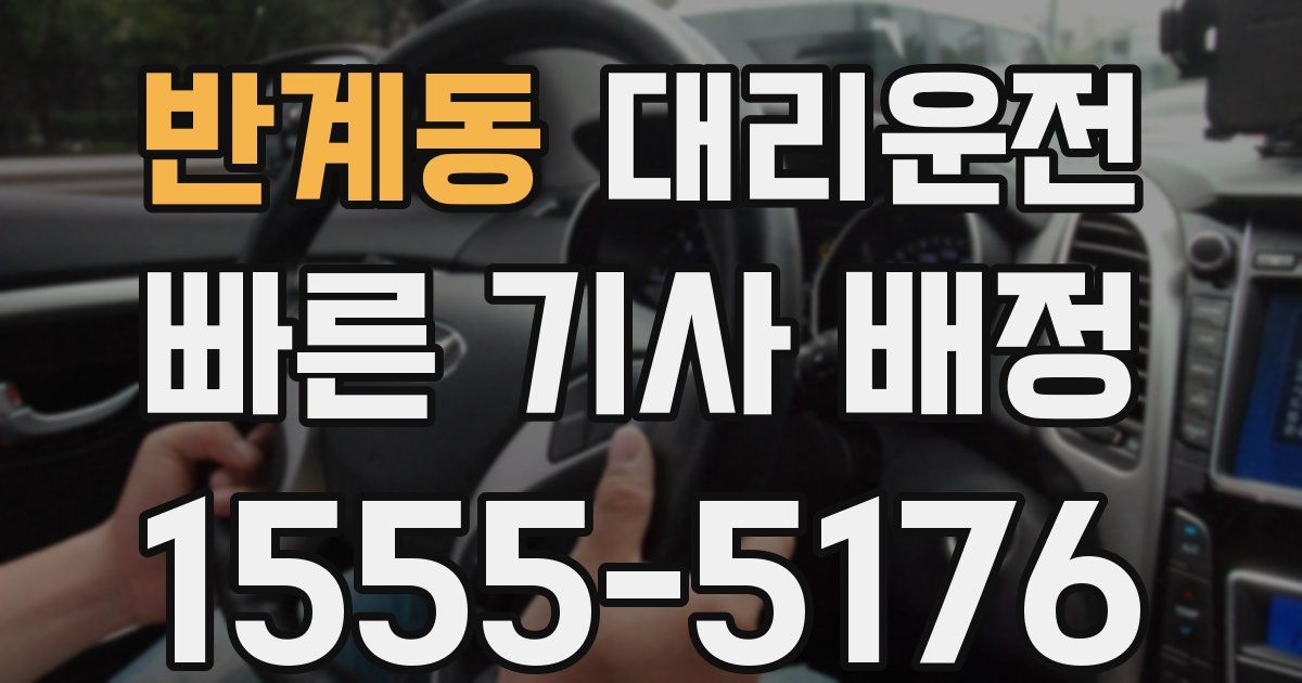 일일대리기사