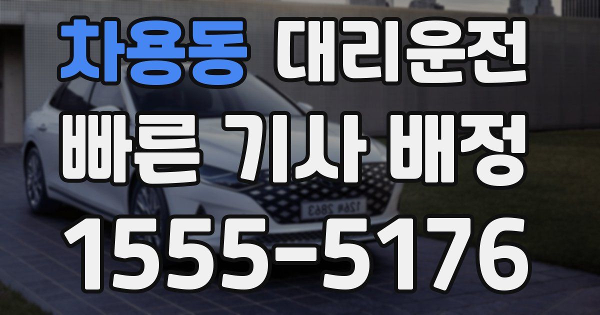 일일대리기사