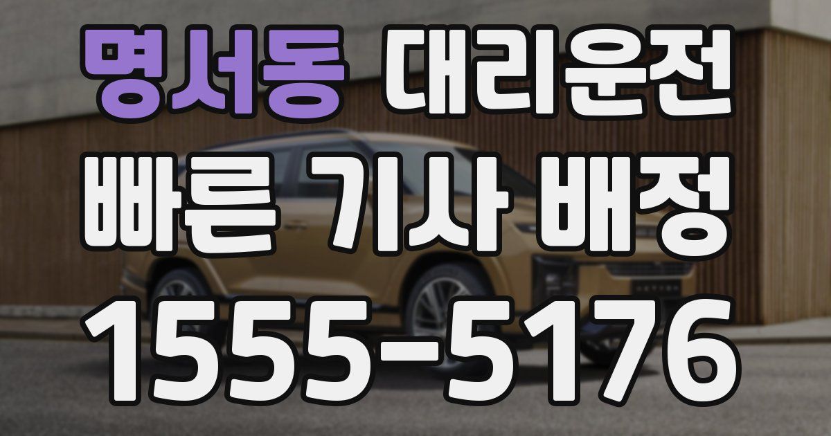 일일대리기사
