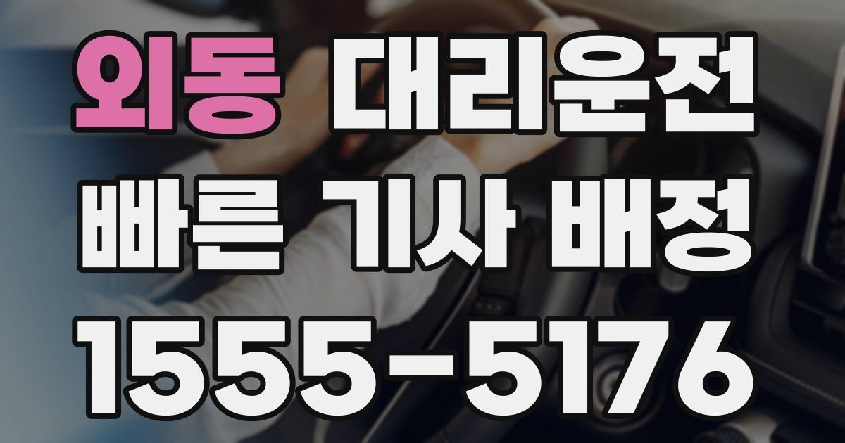 일일대리기사