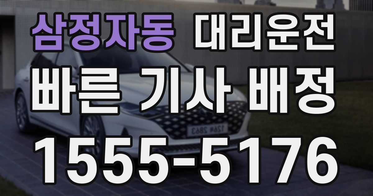 일일대리기사