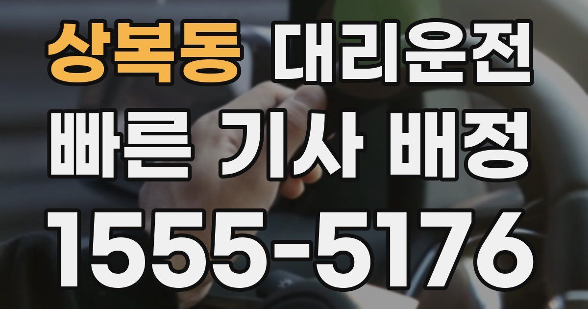 일일대리기사