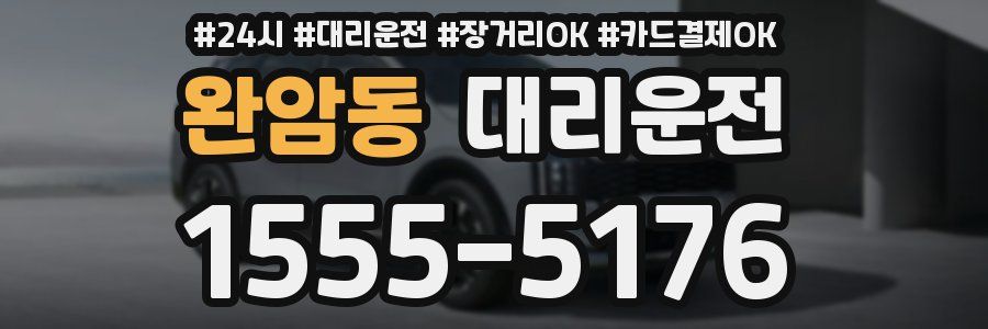 완암동 대리운전