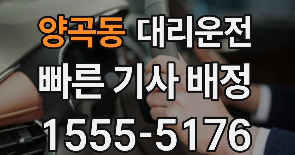 일일대리기사