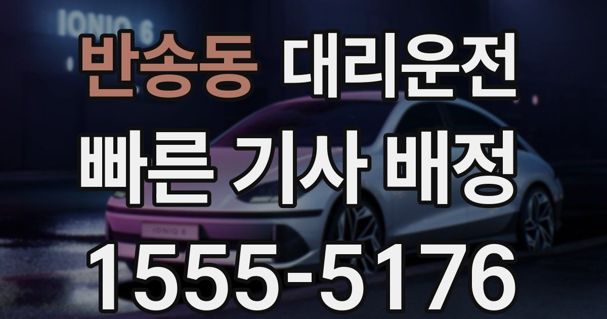 일일대리기사