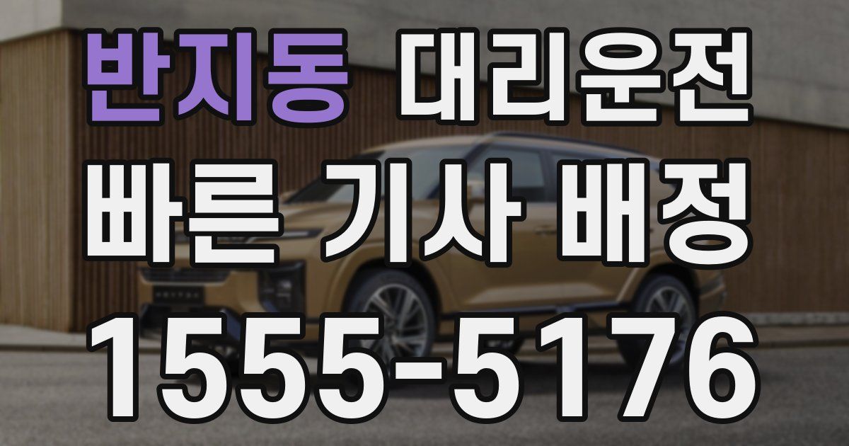 일일대리기사