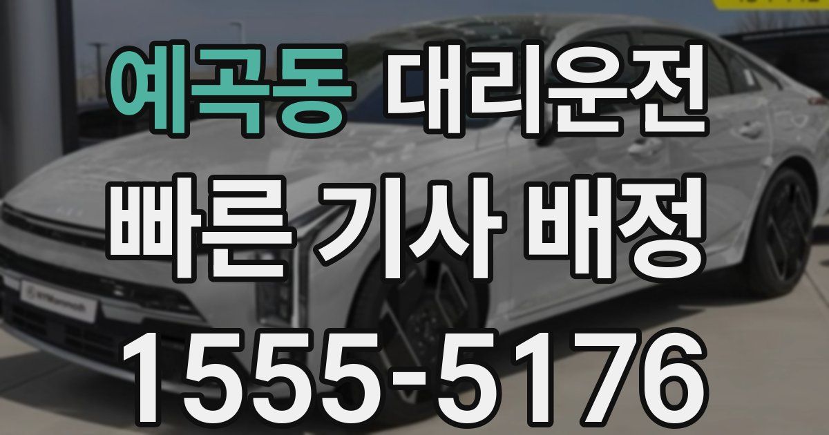 일일대리기사