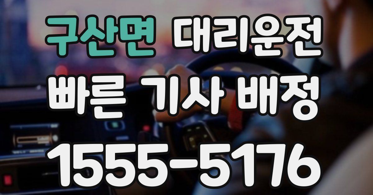 일일대리기사