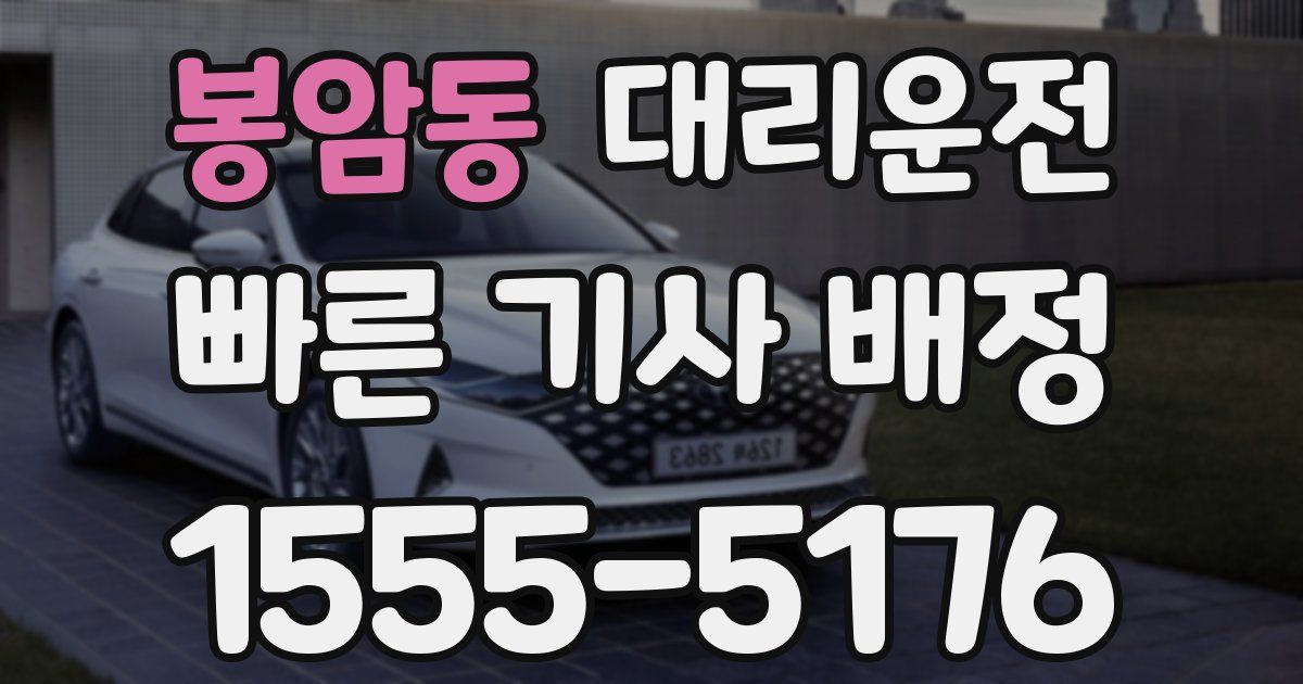 일일대리기사