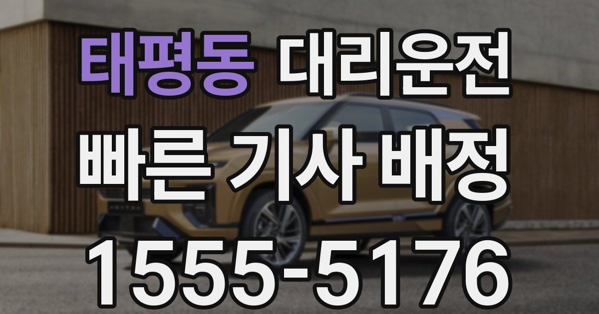 일일대리기사