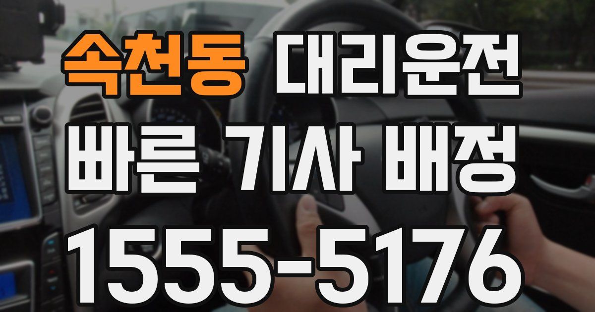 일일대리기사