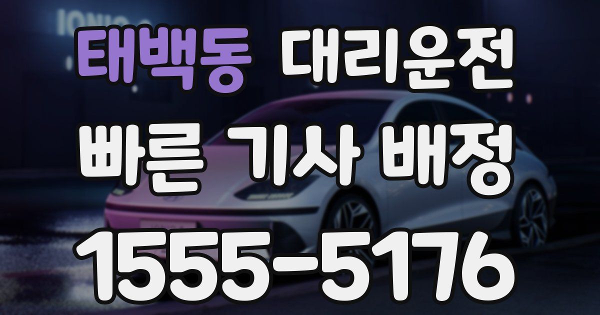 일일대리기사