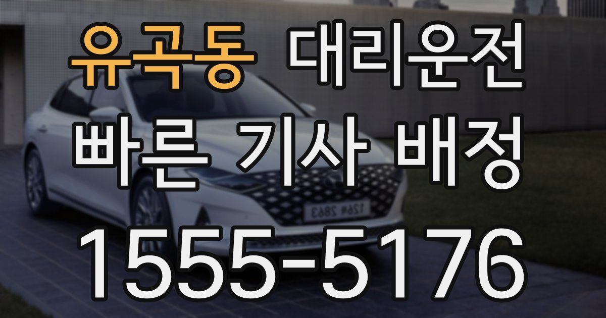 일일대리기사