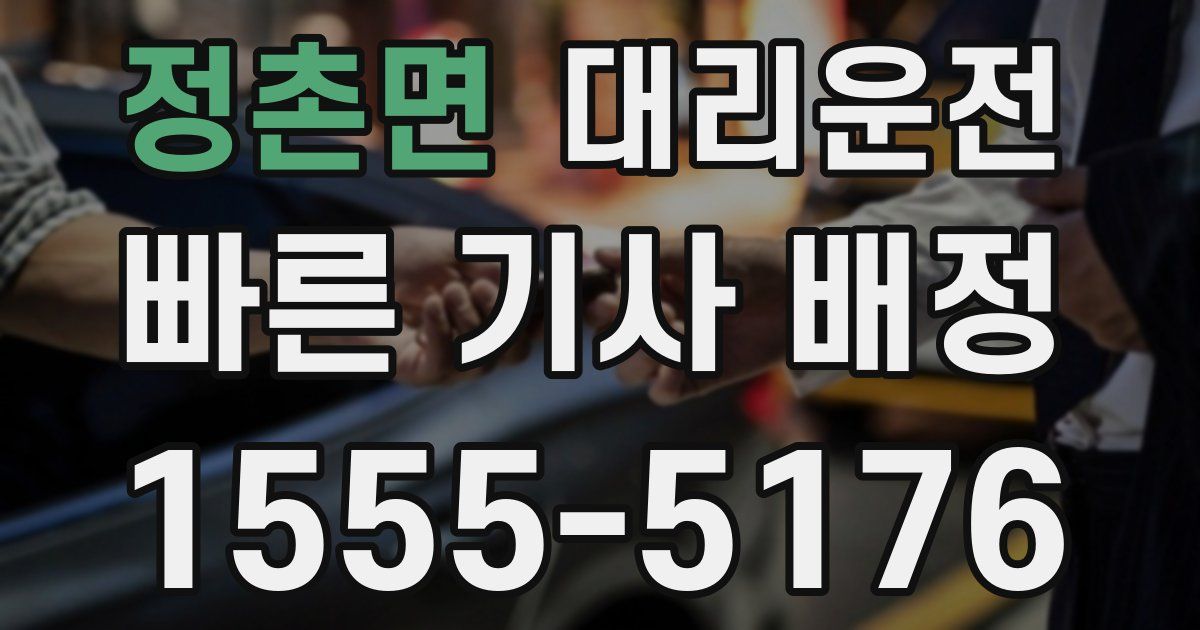 일일대리기사