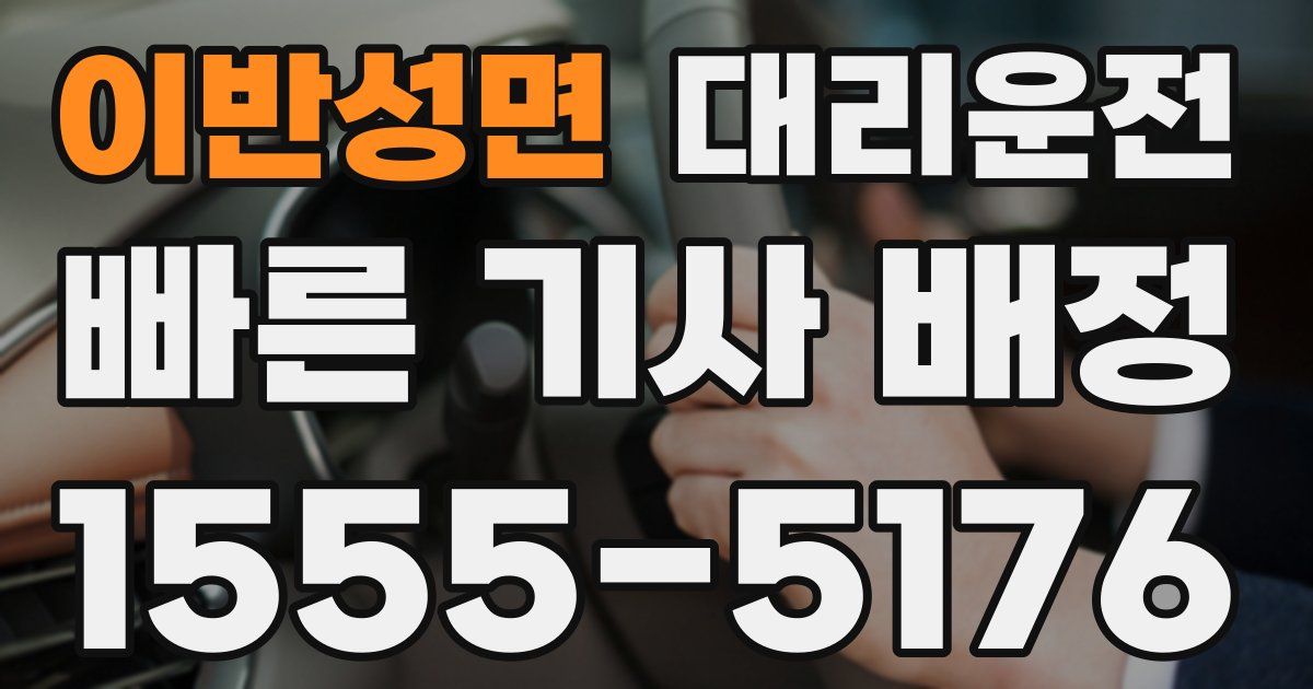 일일대리기사