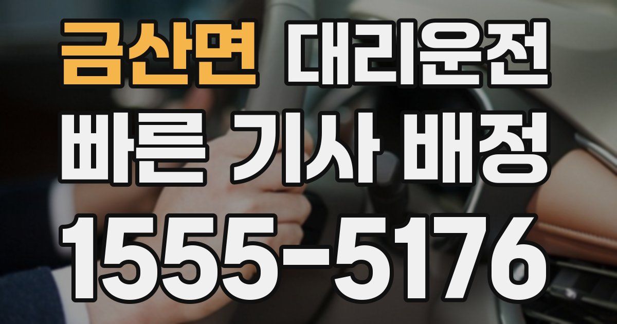 일일대리기사