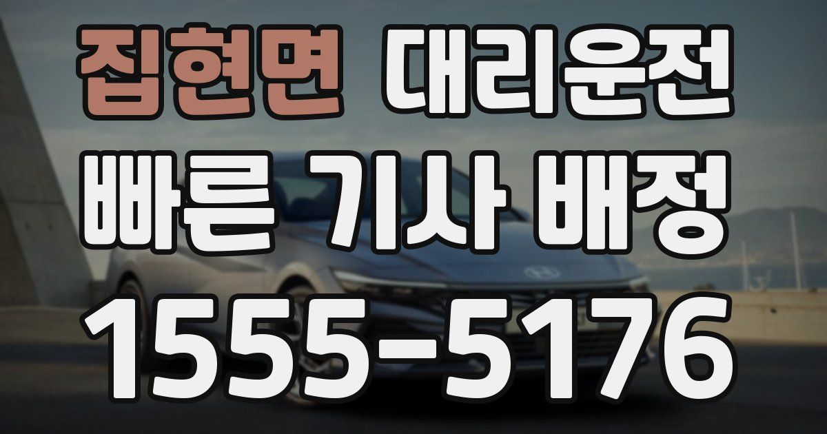일일대리기사