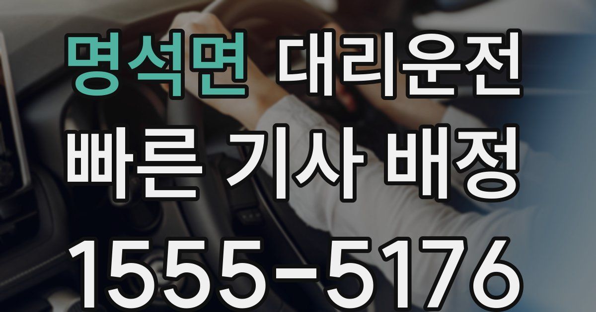 일일대리기사
