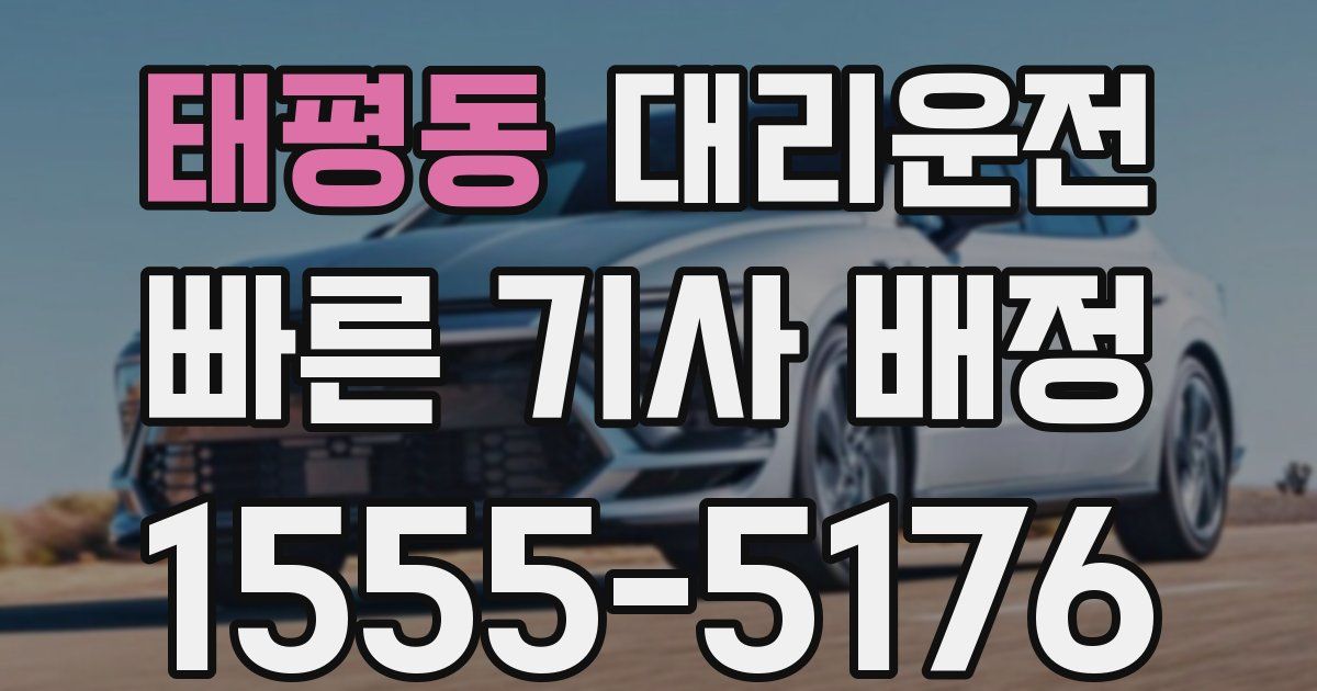 일일대리기사