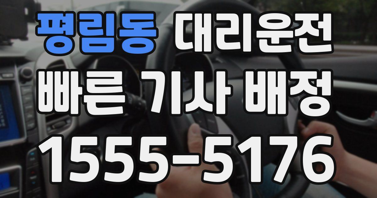 일일대리기사