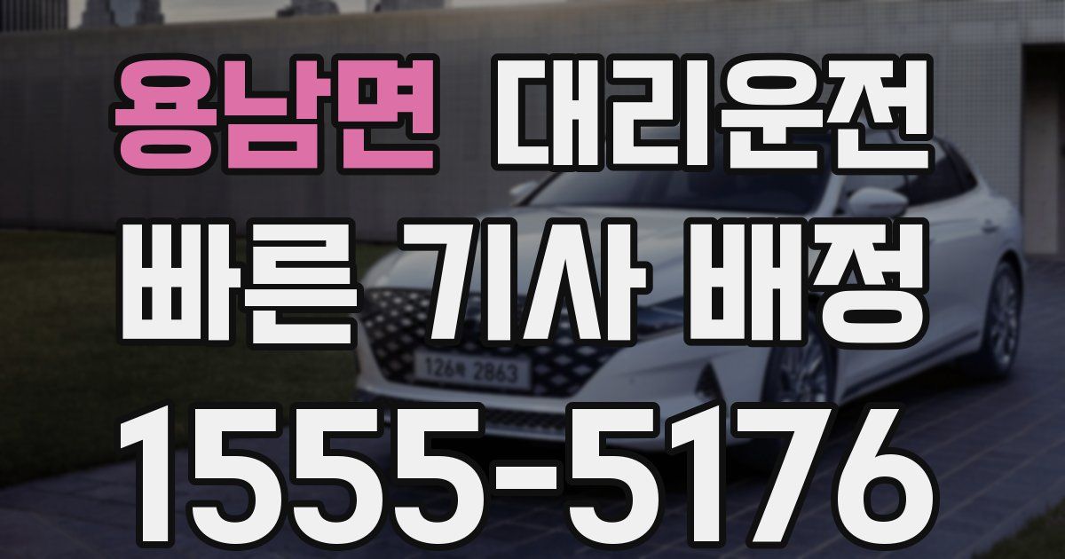일일대리기사