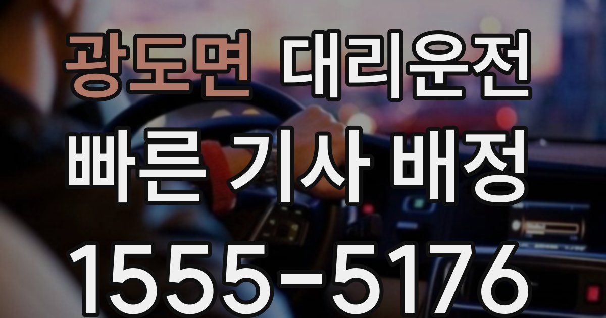 일일대리기사