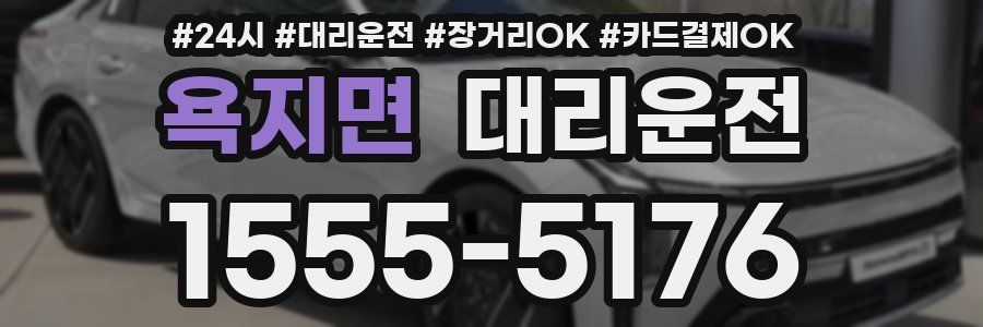 욕지면 대리운전
