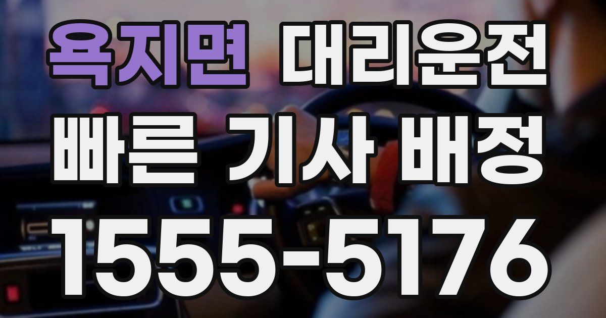 일일대리기사