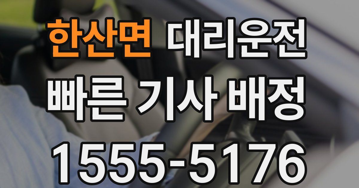 일일대리기사