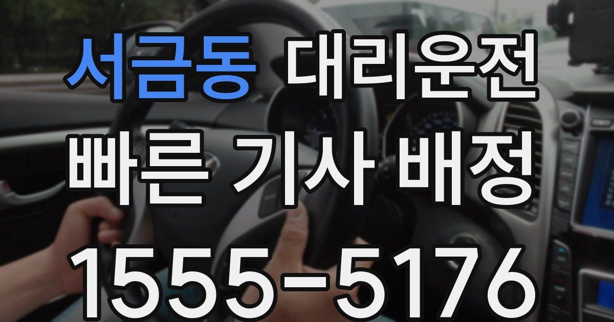 일일대리기사