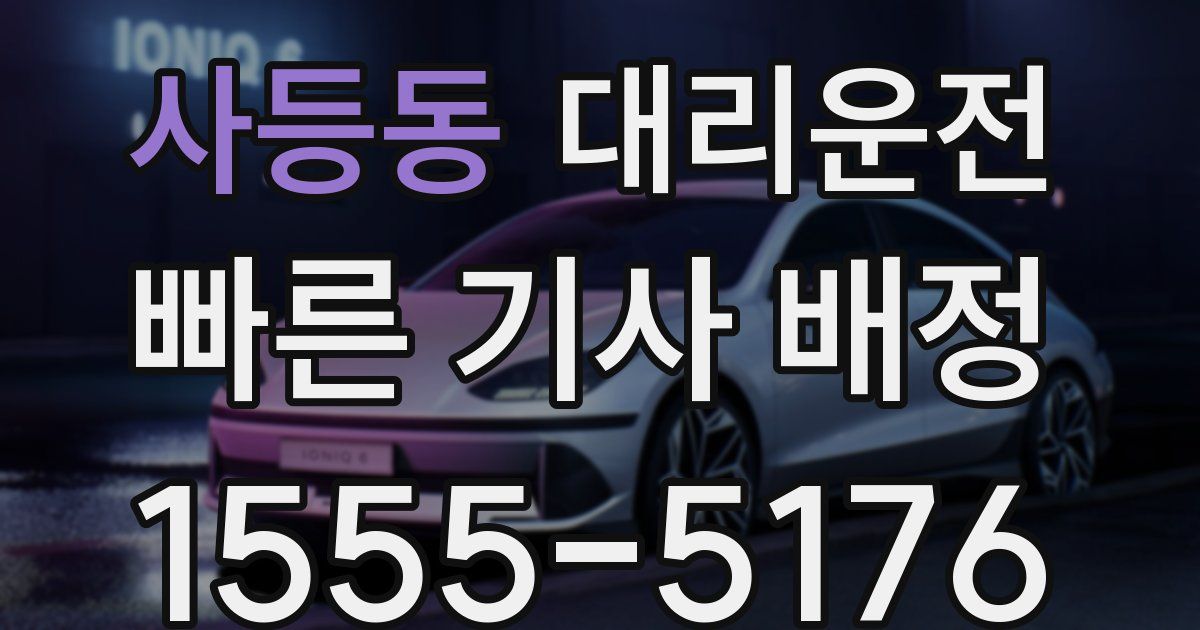 일일대리기사