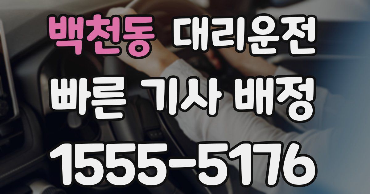 일일대리기사