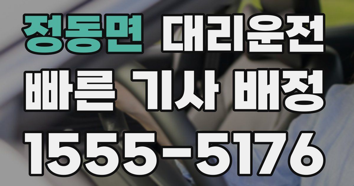 일일대리기사