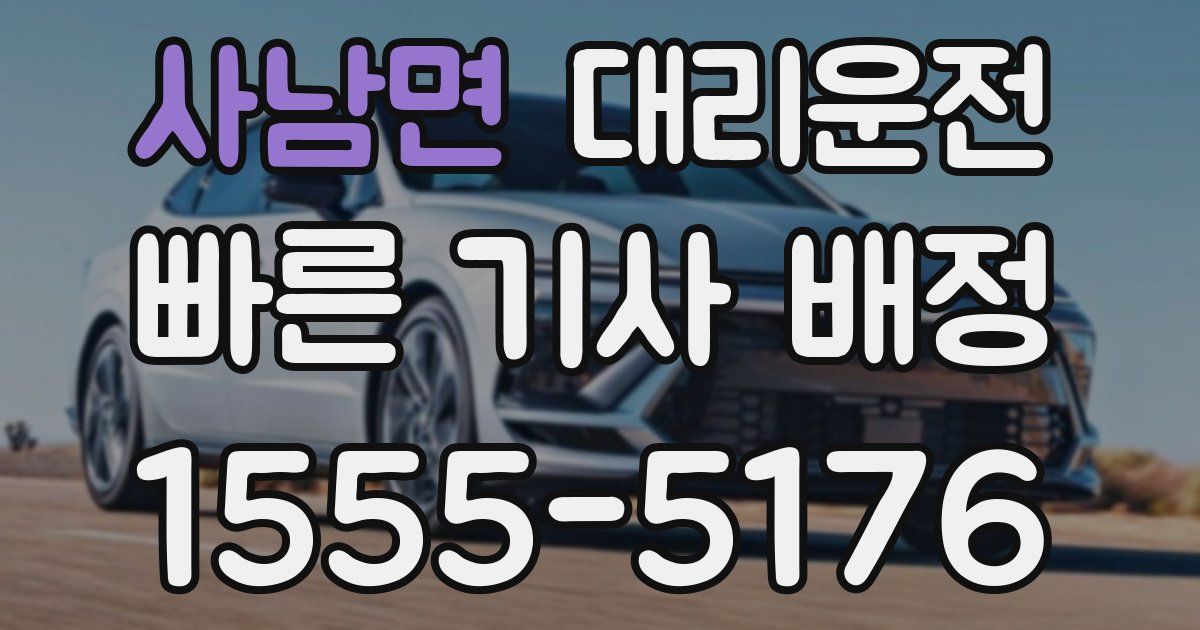 일일대리기사