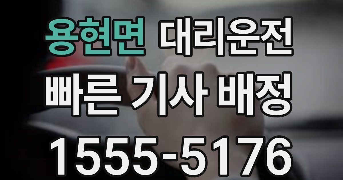 일일대리기사