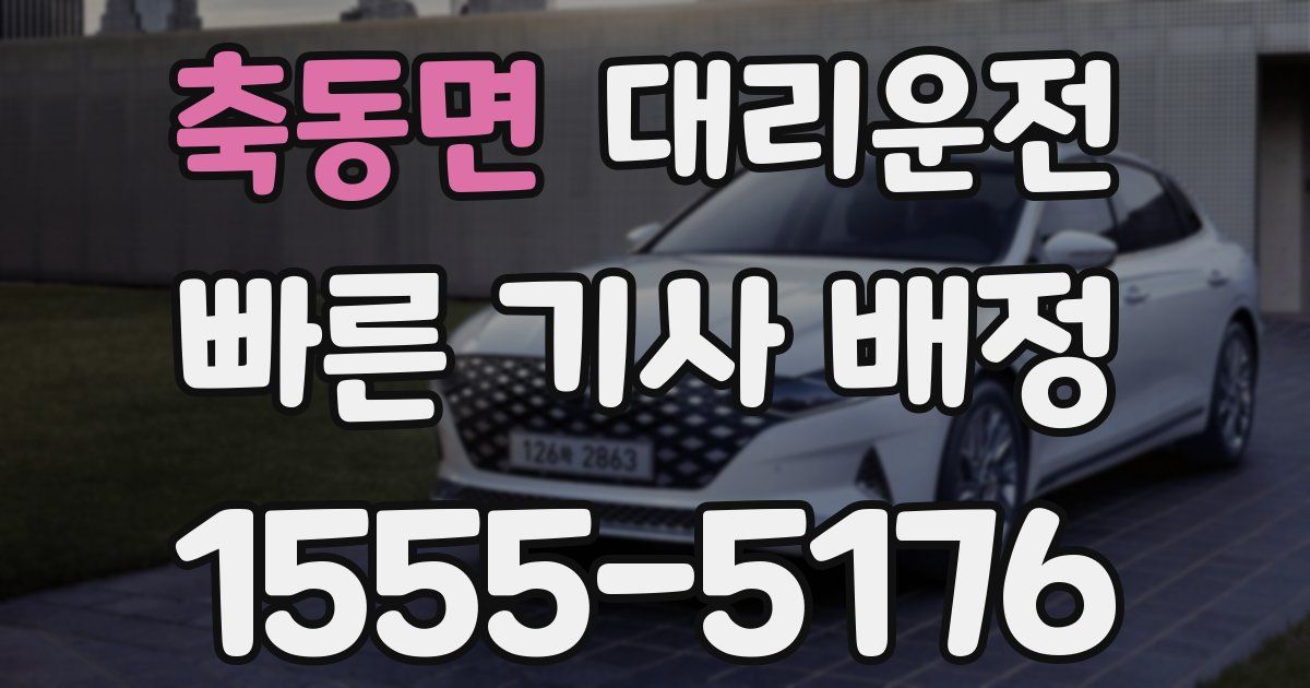 일일대리기사