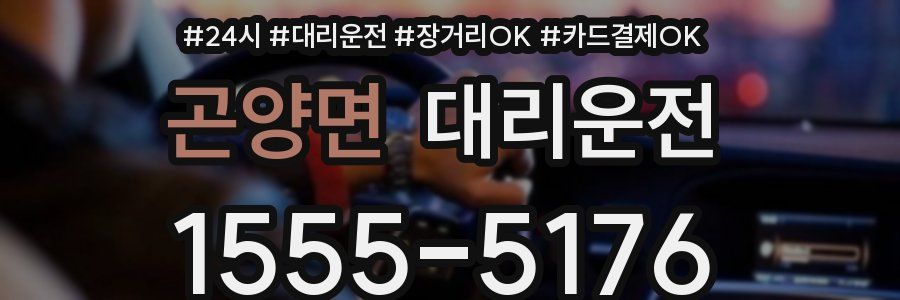 곤양면 대리운전