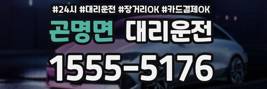 곤명면 대리운전