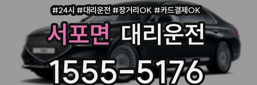 서포면 대리운전