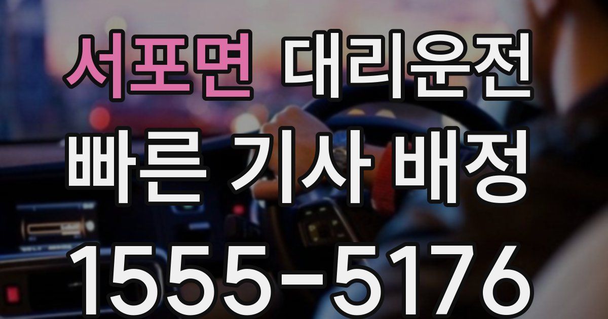 일일대리기사