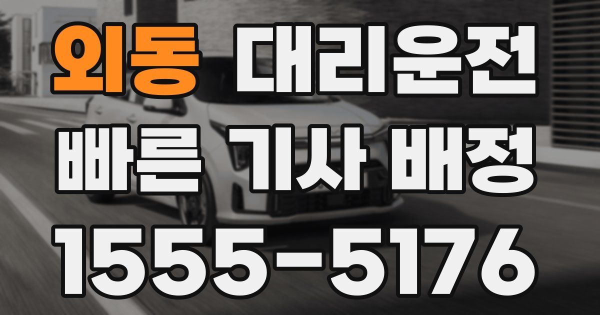 일일대리기사