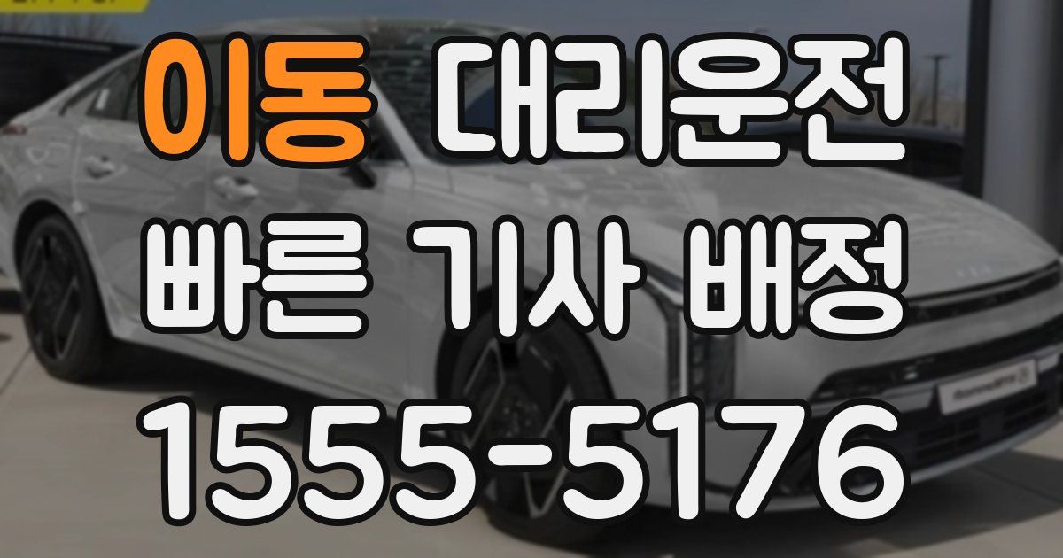 일일대리기사