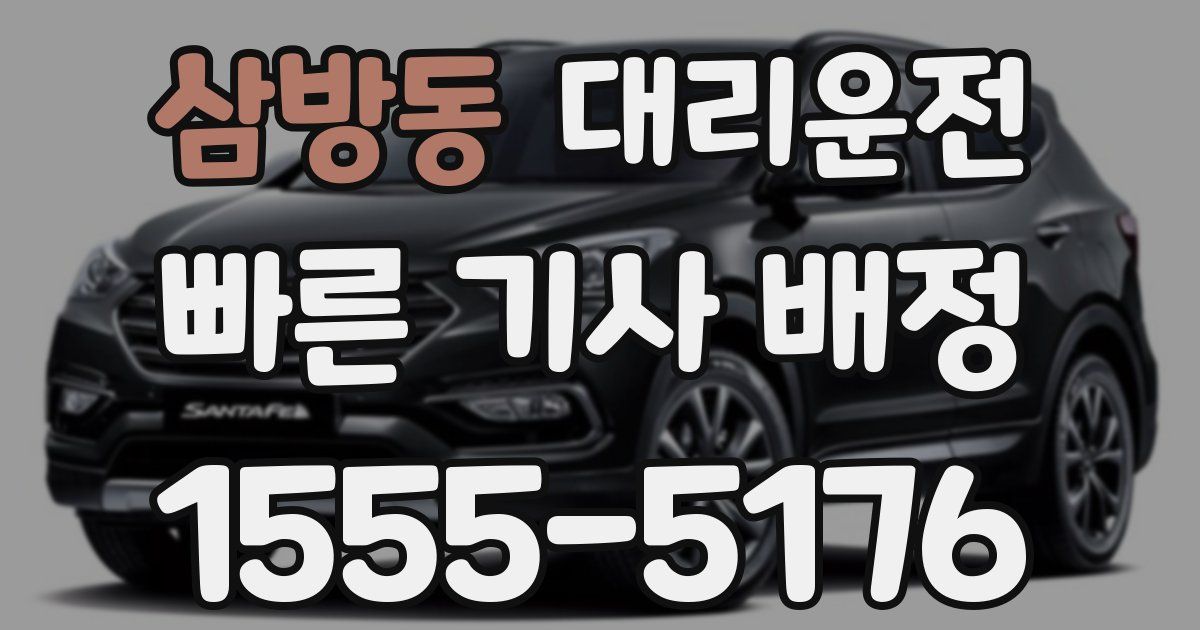 일일대리기사