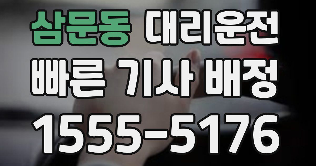 일일대리기사