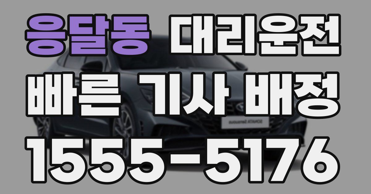 일일대리기사