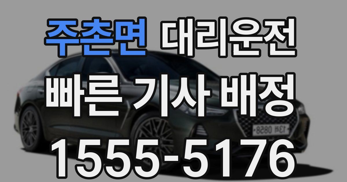 일일대리기사