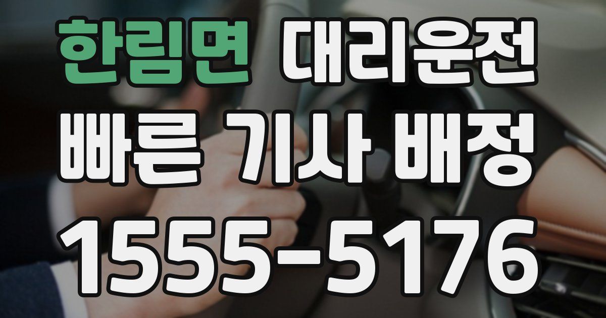 일일대리기사