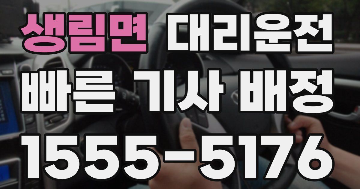 일일대리기사