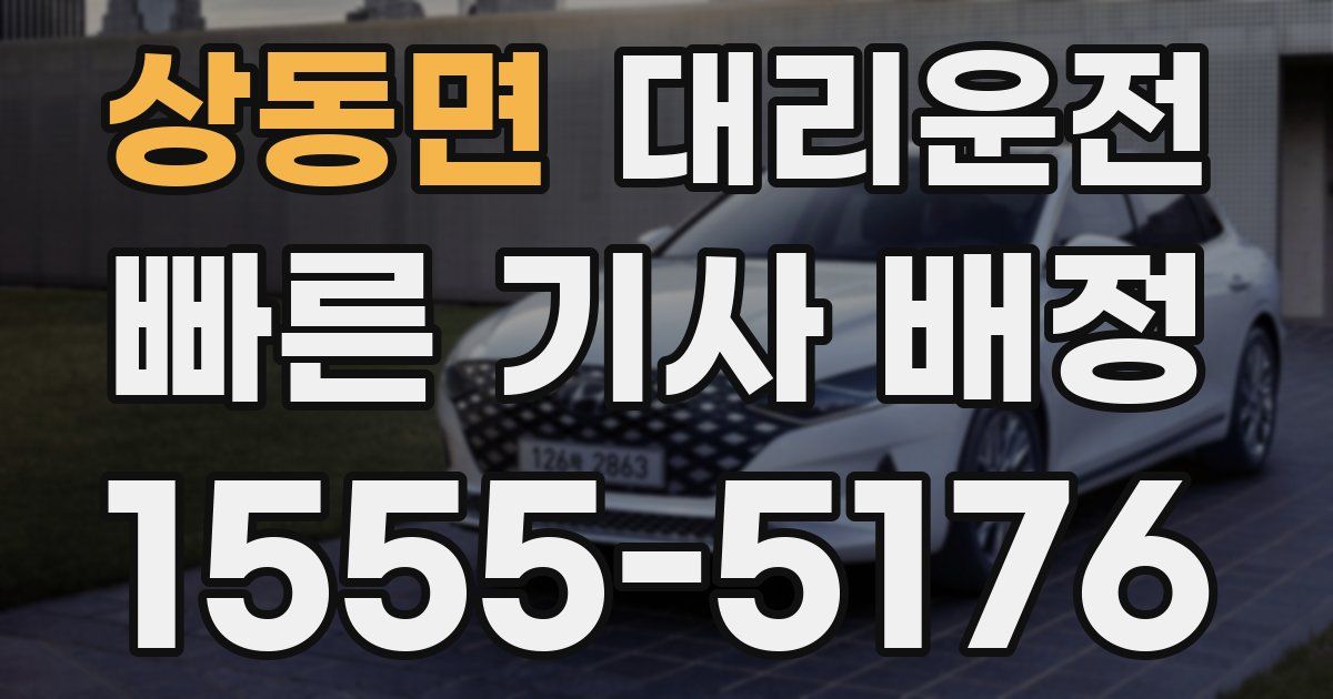 일일대리기사